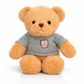 Paranucci Teddy Bear
